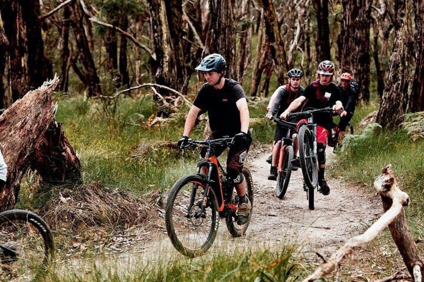 Guided e-bike tours on the Mornington Peninsula in Victoria