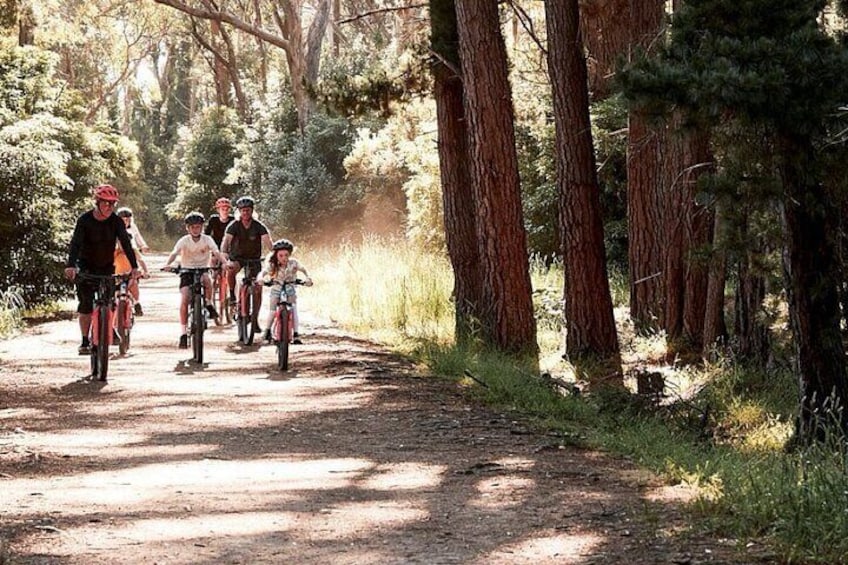 Guided e-bike tours on the Mornington Peninsula in Victoria