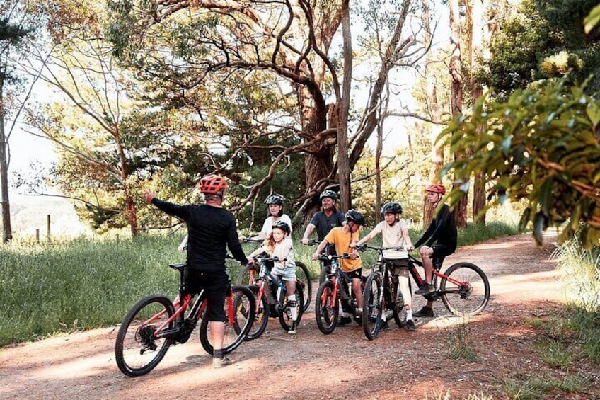 Guided e-bike tours on the Mornington Peninsula in Victoria