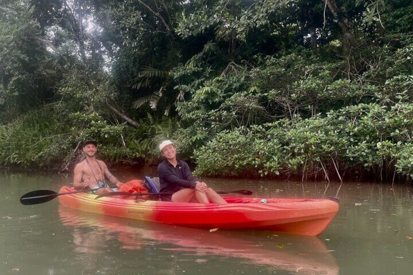Bocas Biodiversity: A Birds & Wildlife EcoTour Experience
