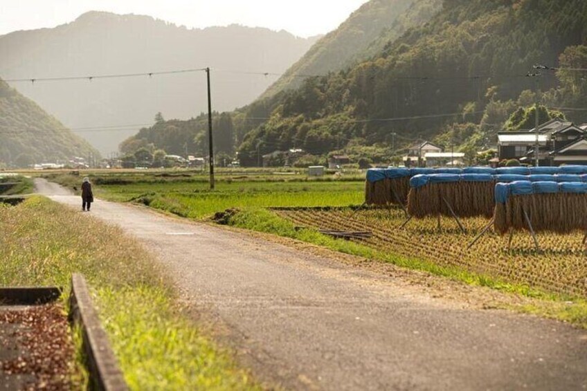 Cycling through the naturally rich Shiso region
