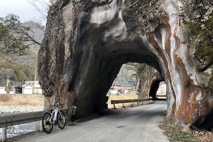 Cycling through the naturally rich Shiso region