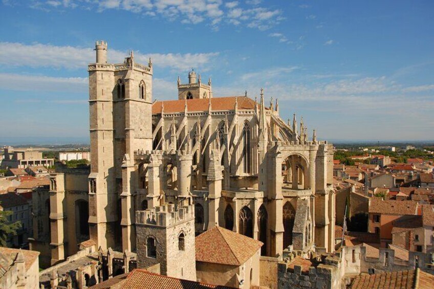 Best Intro to Narbonne in 2 hours with a Local