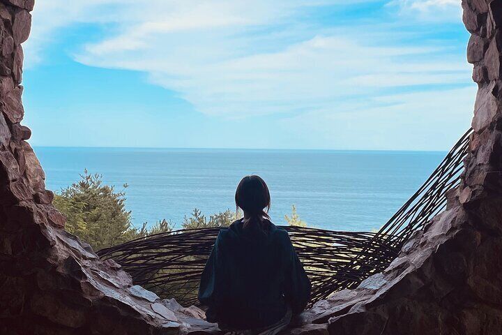 Gangneung 1 Day Tour from Seoul: Haslla art-world & Seaside trail