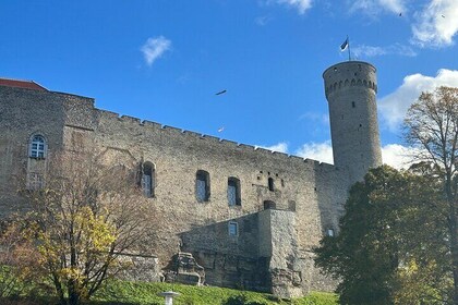 Tailored Walking Tour of Tallinn's Old Town and Kalamaja