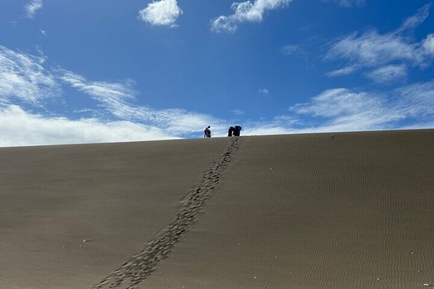 Dunes Snorkeling Tour Outside Santo Domingo