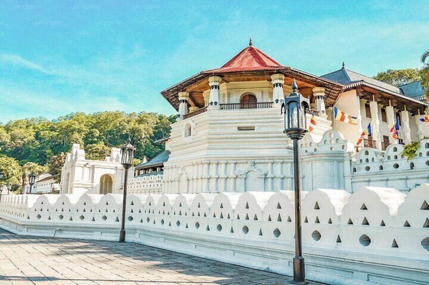 Kandy
City in Sri Lanka
