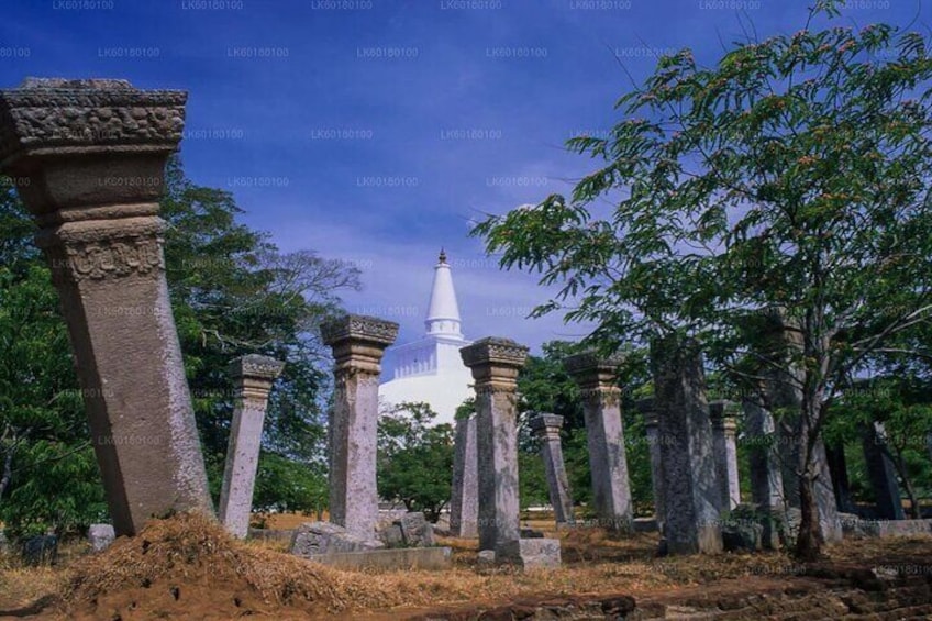 Anuradhapura in a Day: Kingdom of Kings