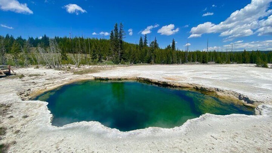 Half Day Private in Yellowstone Geyser Basin Tour