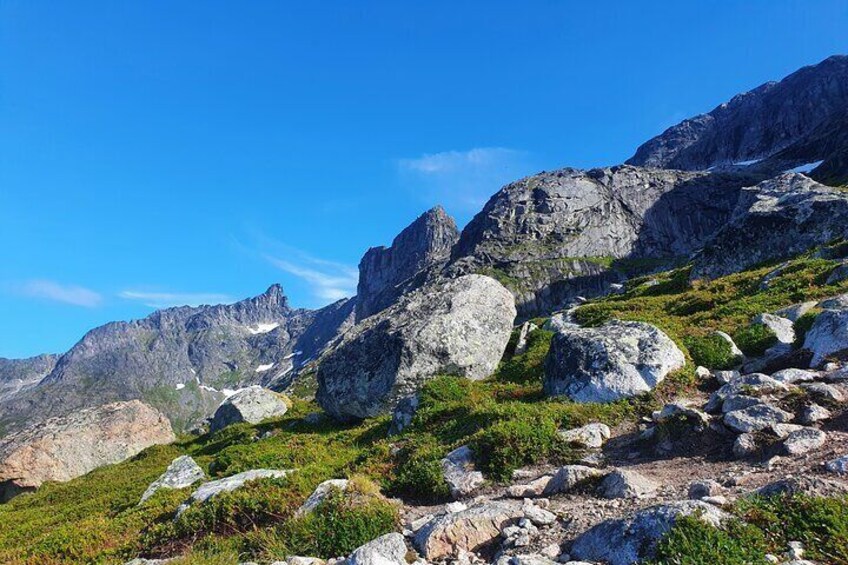 Arctic Summer Hiking Adventure