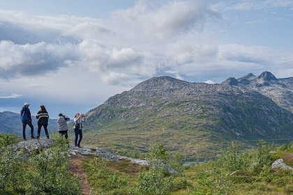 Arctic Summer Hiking Adventure