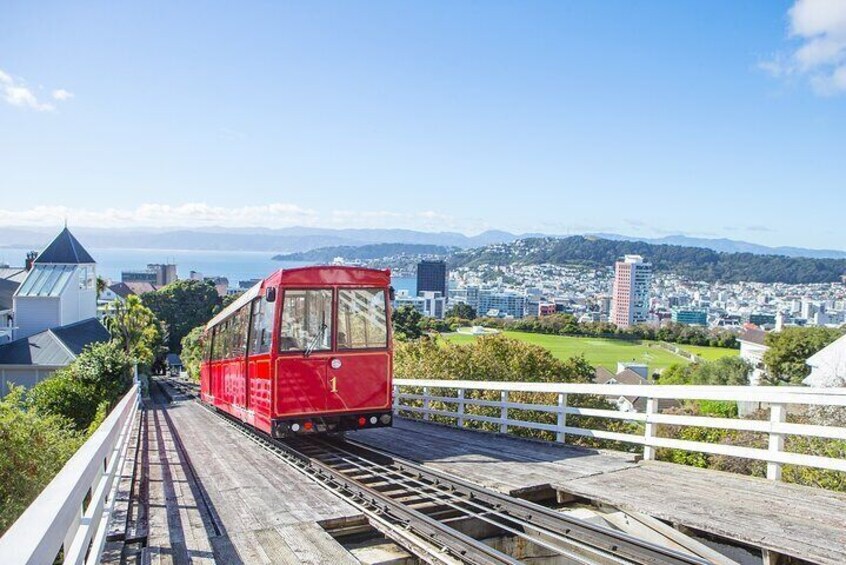 PRIVATE Wellington Half Day Tour