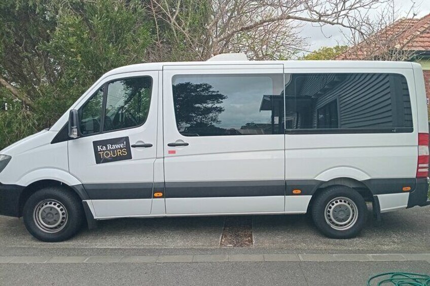 PRIVATE Wellington Half Day Tour