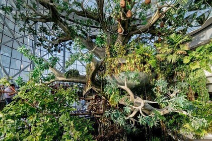 Dubai The Green Planet Bio-Dome Admission Ticket