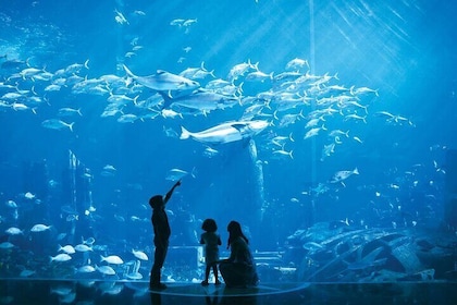 Dubaï Atlantis Aquaventure Waterpark Tour Experience