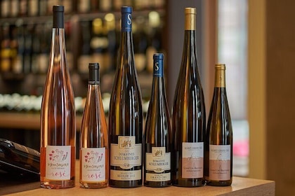 Tasting the secrets of the sommelier Introduction to Grand Crus