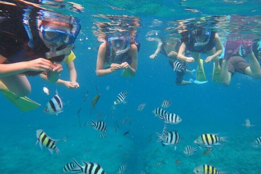 Discover Kerama Islands Snorkeling Half Day 1 Free Banana Boat