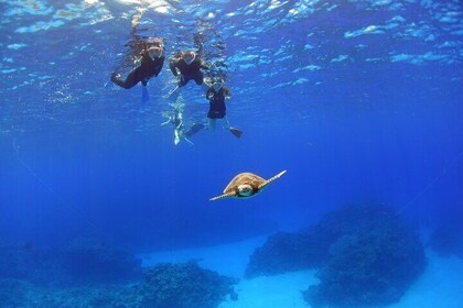 Discover Kerama Islands Snorkelling Half Day 1 Free Banana Boat