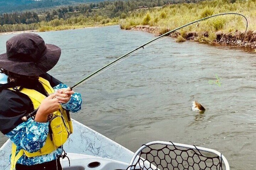 Full Day Traditional Driftboat Fishing Jackson Hole