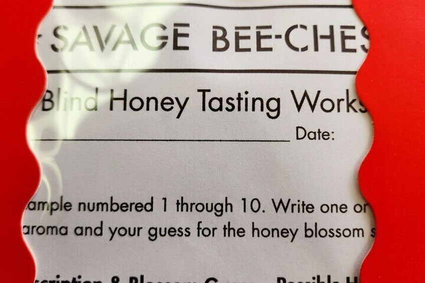 Old Town San Diego Honey Tasting & Bee Talk