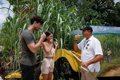 Dominican Safari Adventure: Culture, Nature & Macao Beach