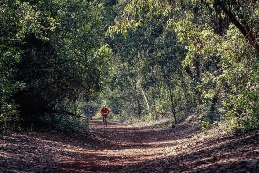 Nairobi Day Tour to Karura Forest Hike Trail Bike and Nature Walk