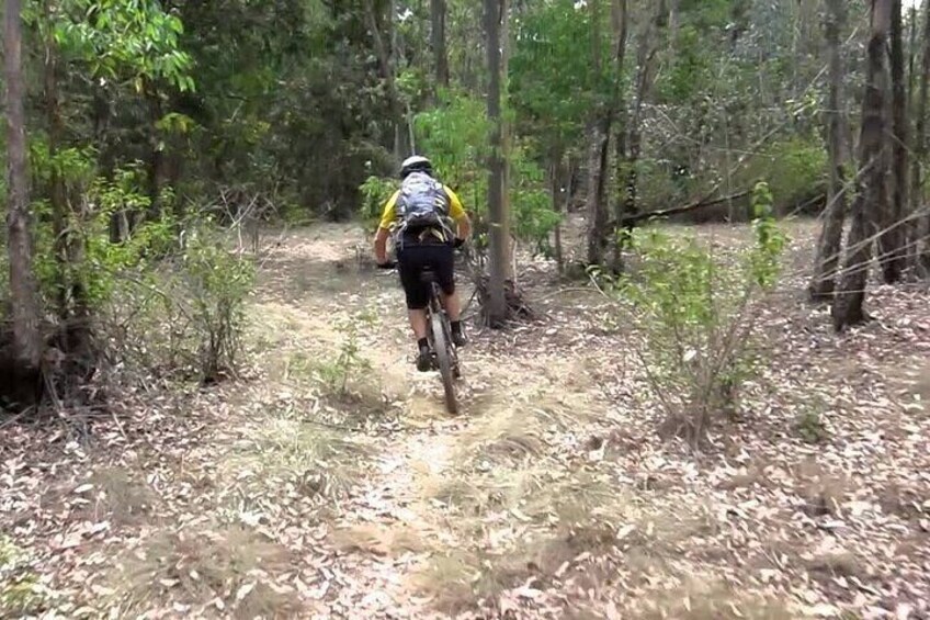 Nairobi Day Tour to Karura Forest Hike Trail Bike and Nature Walk