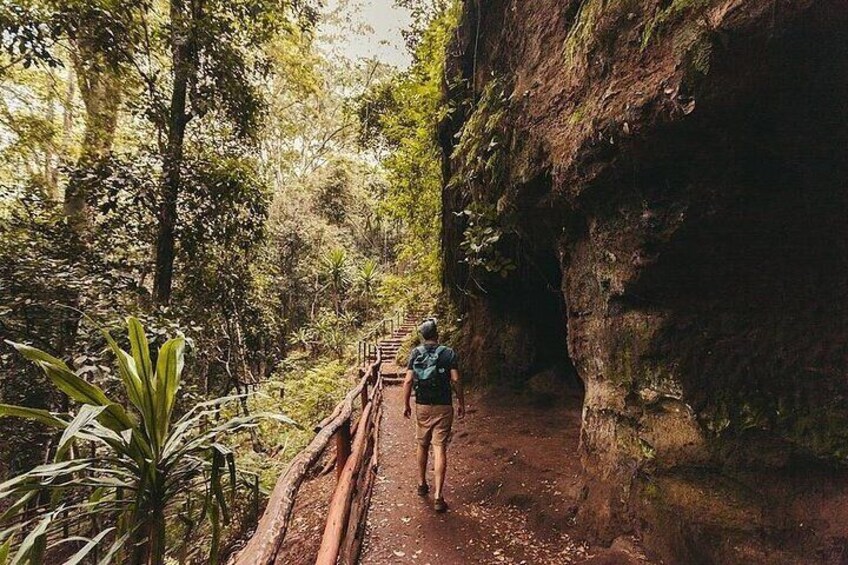 Nairobi Day Tour to Karura Forest Hike Trail Bike and Nature Walk