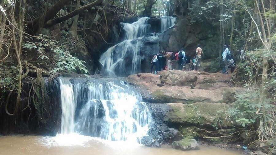 Nairobi Day Tour to Karura Forest Hike Trail Bike and Nature Walk