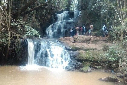 Nairobi Day Tour to Karura Forest Hike Trail Bike and Nature Walk