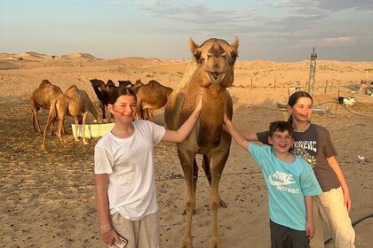 Tour todo en uno por Dubái Abu Dabi y safari por el desierto por la noche