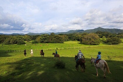 Half Day Private Guanacaste Horseback and Farm Tour