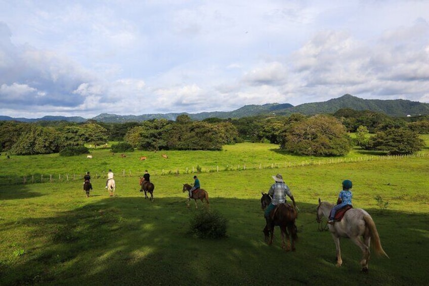 Half Day Private Guanacaste Horseback and Farm Tour