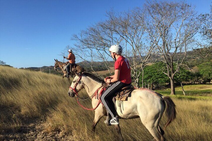 Half Day Private Guanacaste Horseback and Farm Tour