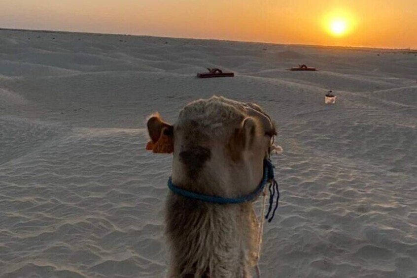 Experience the beauty of the sunset Adventure in Ksar Ghilane