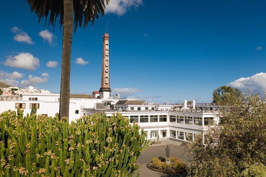 Tastes of Gran Canaria A Day of Flavours and Culture
