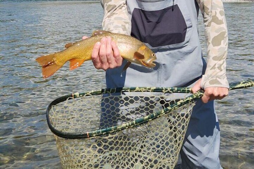 2 Hour Private Guided Walk Wade Fishing at Jackson Hole