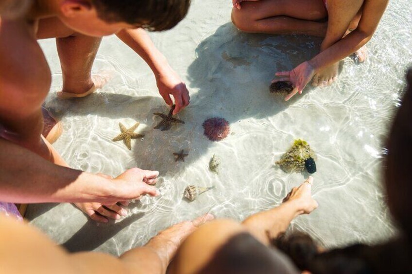 Boca Grande Kayaking Tour