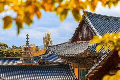 7 Highlights Gyeongju City One Day Tour from Busan