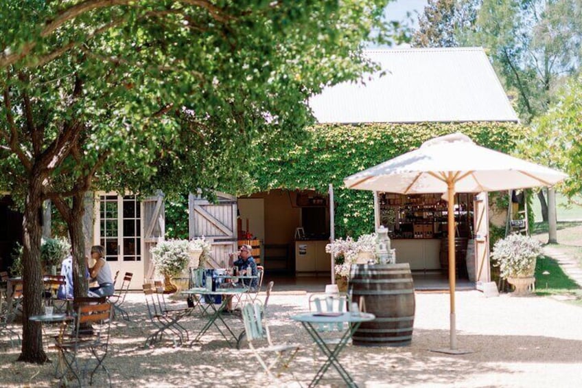 Slow wine tastings that allow you to sit back and relax. Not a large tour bus in sight!