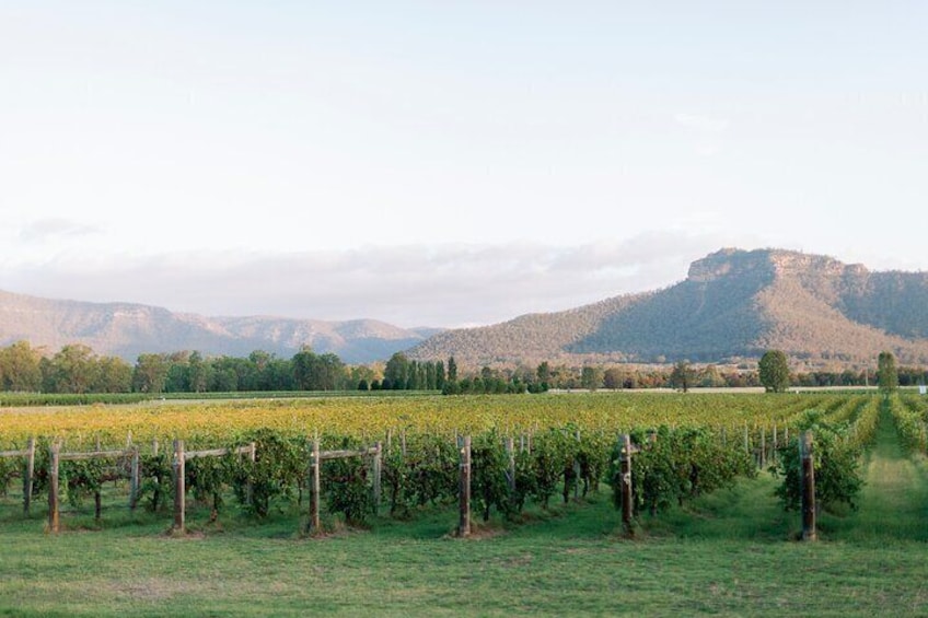 The Broke region is renowned for its stunning scenery and boutique wineries