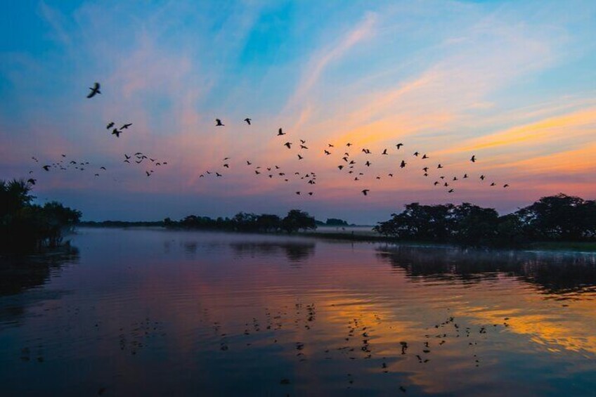 Chitwan jungle safari tour