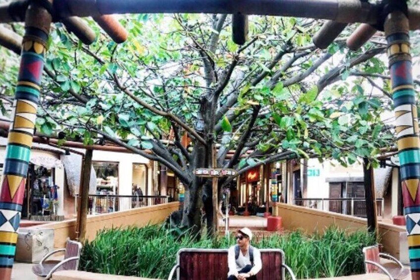Cape Town to Johannesburg: 12 Days Cango Caves & Kruger Park