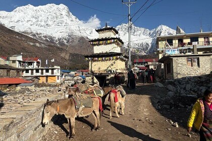 21 Day Trek in Manaslu Tsum Valley