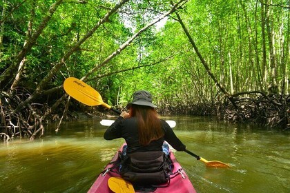Kayak Ao Thalane Hidden Mangroves and Limestone Cliffs in Krabi