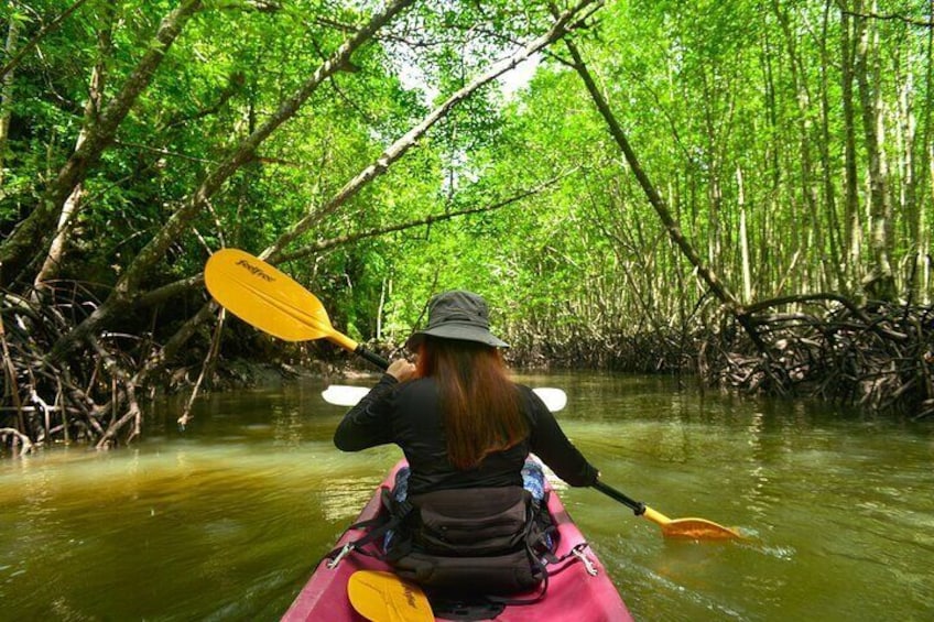 Kayak Ao Thalane Hidden Mangroves and Limestone Cliffs in Krabi