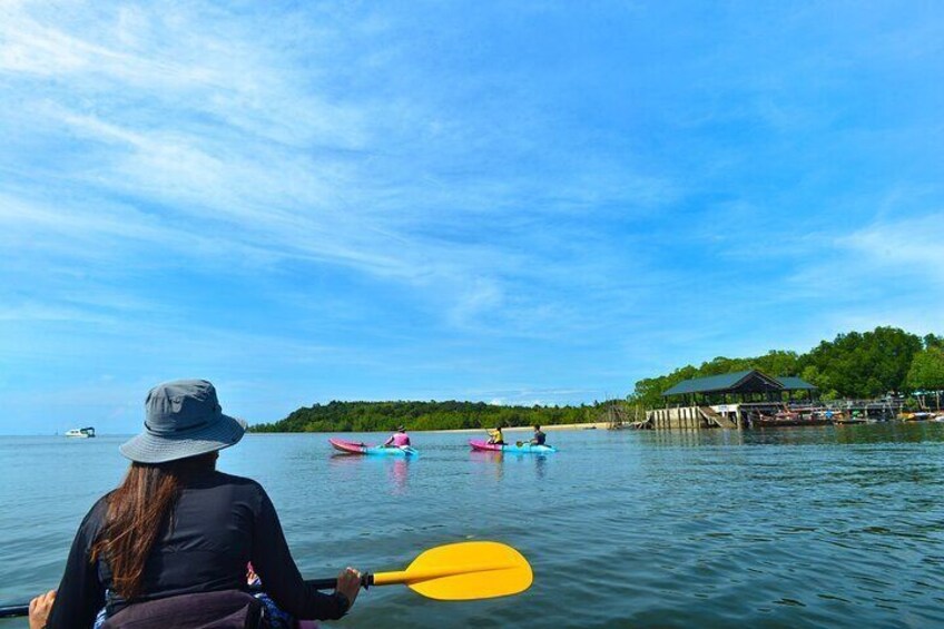 Kayak Ao Thalane Hidden Mangroves and Limestone Cliffs in Krabi 