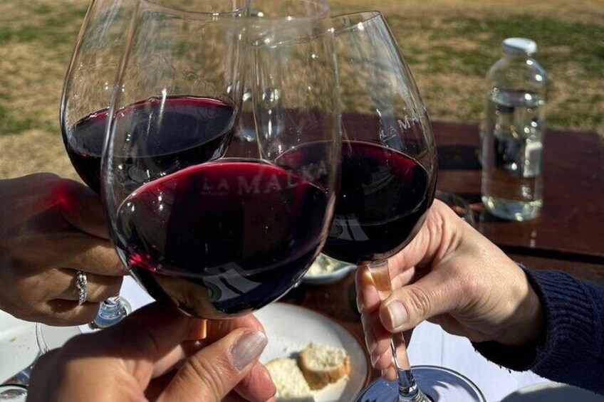 Winery and Picada Tour in Mendoza from the Airport