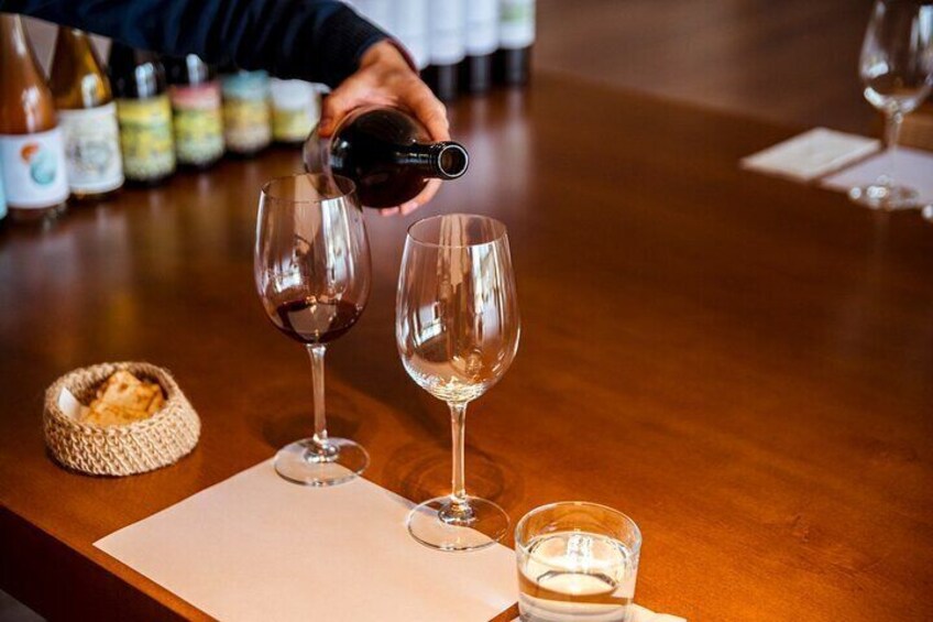 Winery and Picada Tour in Mendoza from the Airport