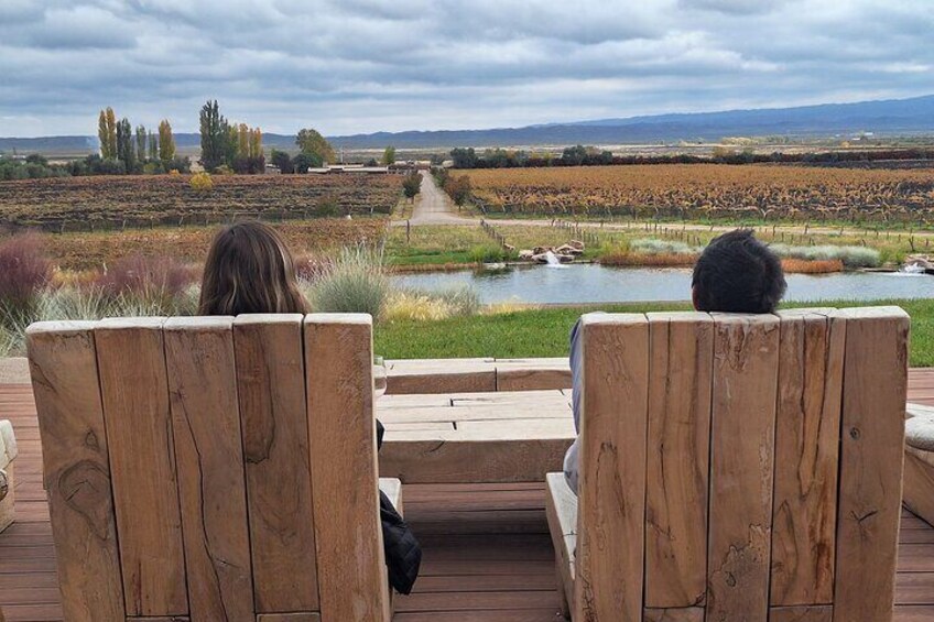 Winery and Picada Tour in Mendoza from the Airport